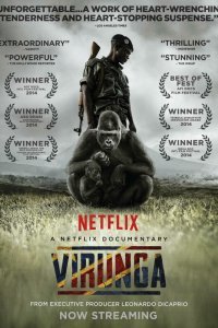 Постер к фильму "Вирунга"